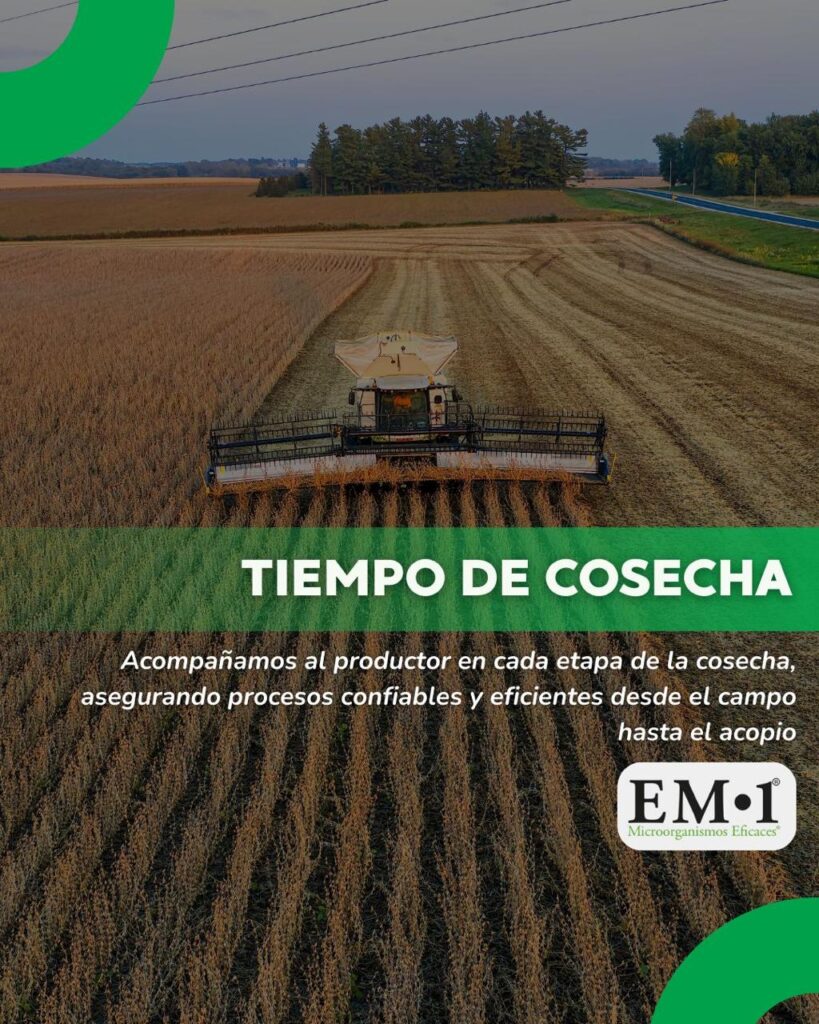 Foto tiempo de cosecha